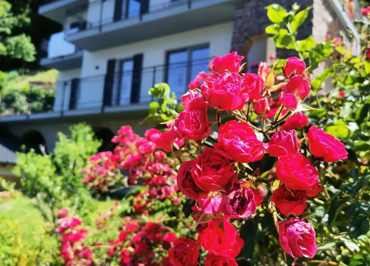 Apartment Villa Sofi Margno